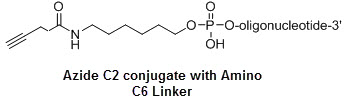 Bio-Synthesis Inc. Oligo Structure